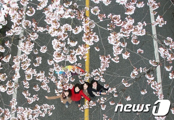 제일원떡방앗간 이미지
