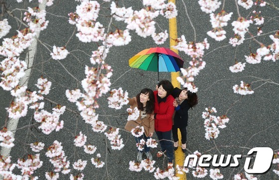 제일원떡방앗간 이미지