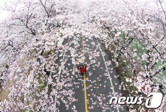제일원떡방앗간 이미지