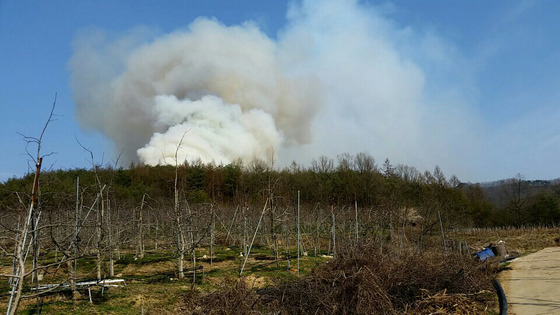 공군, F-16D 추락 사고 이후 중단된 항공기 비행 재개 - 머니투데이