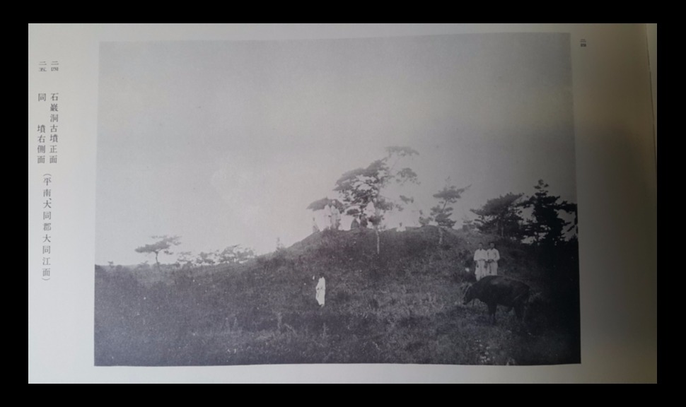 1909년 세키노와 야쓰이가 찾아간 평양 석암리 고분의 조사 전 모습. 조선고적도보에 실린 사진으로 촌부들과 목동, 소들이 무덤 주위에 보인다.