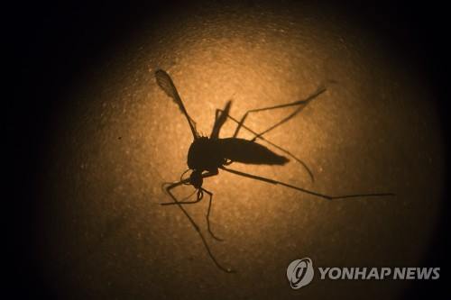 베트남서 지카바이러스 감염자 첫 발생..동남아 확산 우려 - 연합뉴스