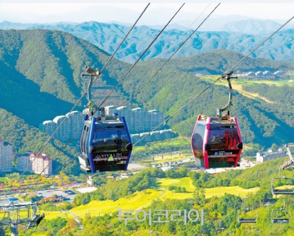 청춘투어 이미지