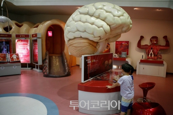 청춘투어 이미지