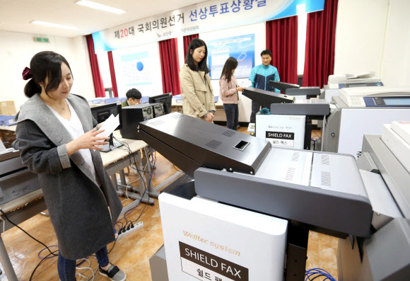 선상 이미지