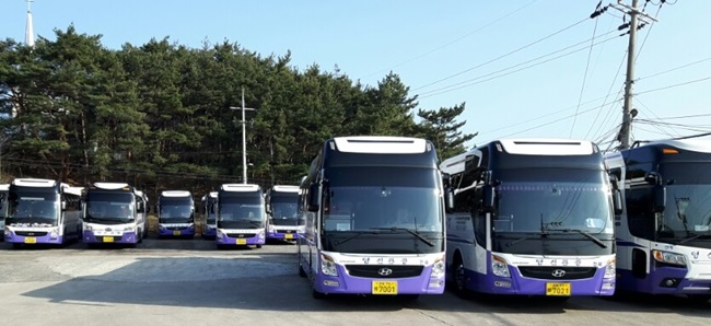 영신관광여행사 이미지