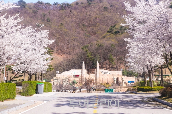 벚꽃분식 이미지