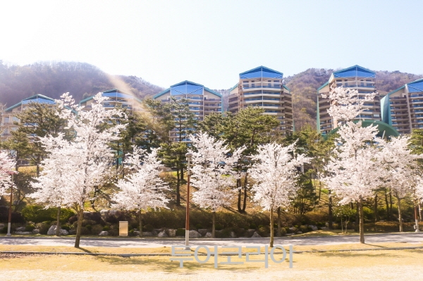 피크닉분식 이미지