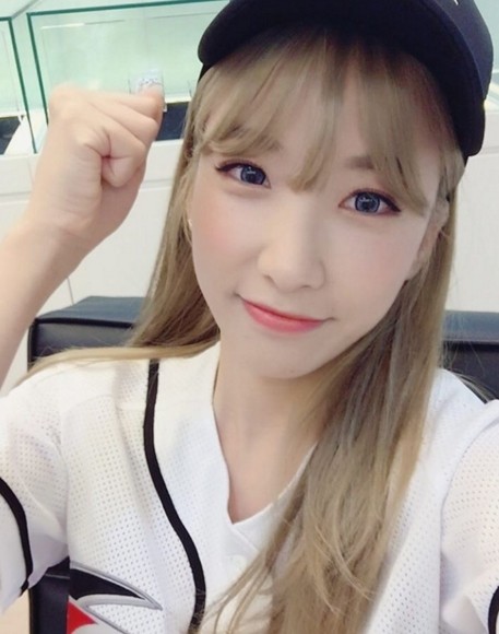 레인보우파크 이미지