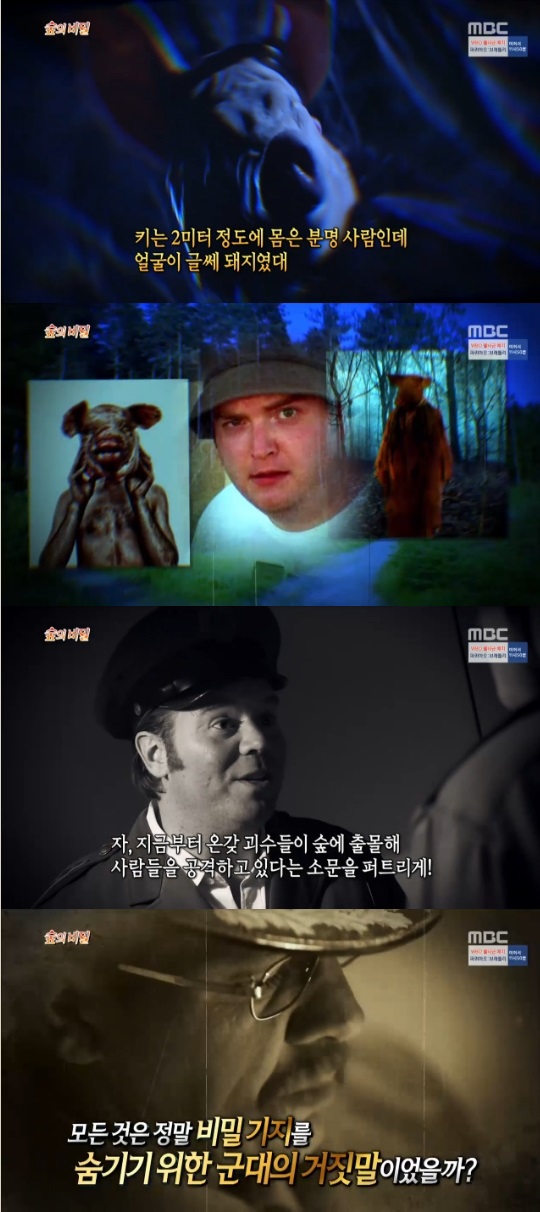 체이스 이미지