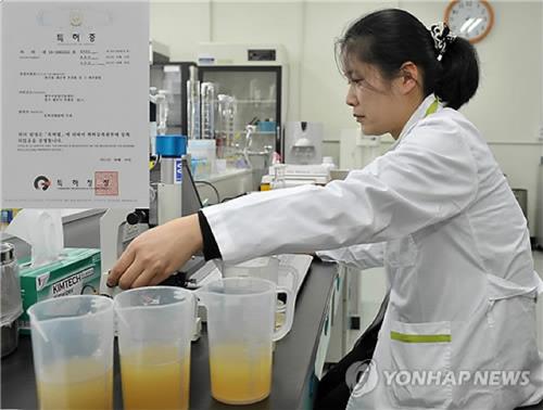 'AI 청정' 경기광주 뚫렸다..모든 사육 오리류 처분(종합) - 연합뉴스