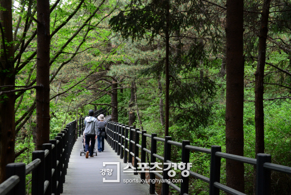 안산자락길