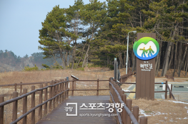 태안해변길