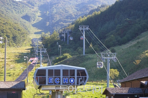 (주)여행버스 이미지