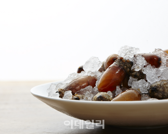 테이스트 이미지