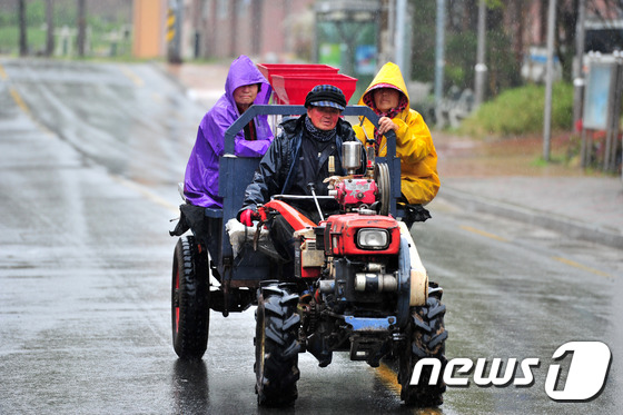 경남 격전지 투표율, 평균보다 높아..창원성산 36.1%, 김해 35.7% - 뉴스1