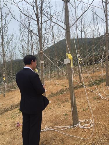 박원순 시장 팽목항 방문