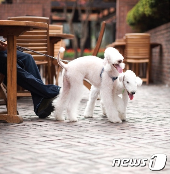 제이제이호텔 이미지