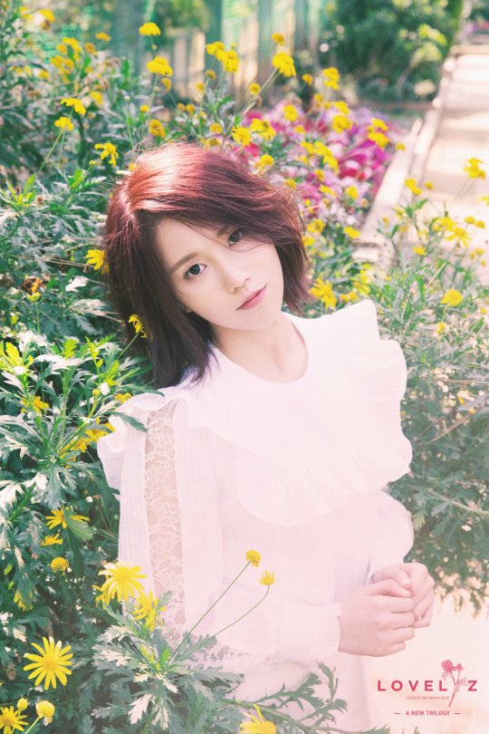 예인엔터테인먼트 이미지