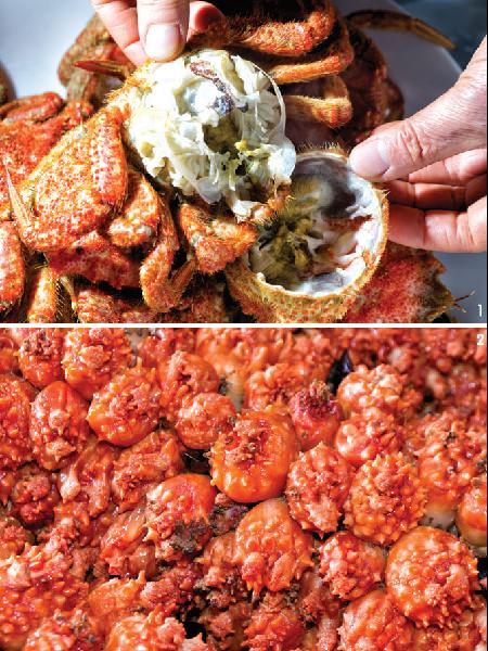 중앙꽃수족관 이미지