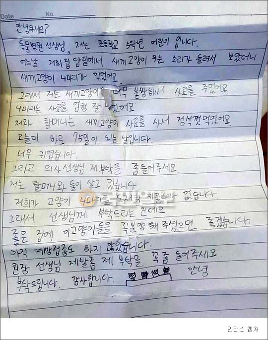고양이편지 이미지