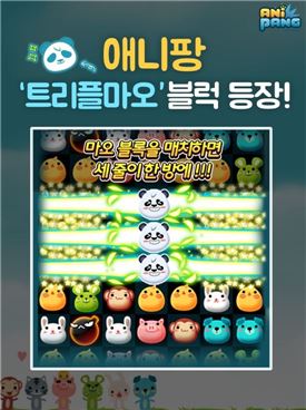 선데이트리 이미지