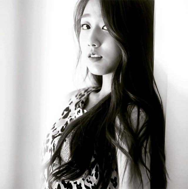 예인 이미지