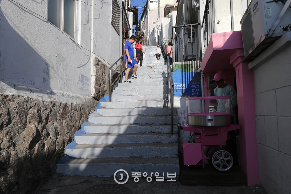 마을물고기 이미지
