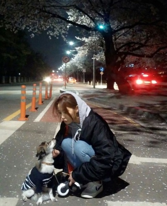 럭키 이미지