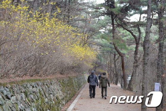 앞산자락길© News1