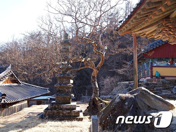 교룡산둘레길 © News1