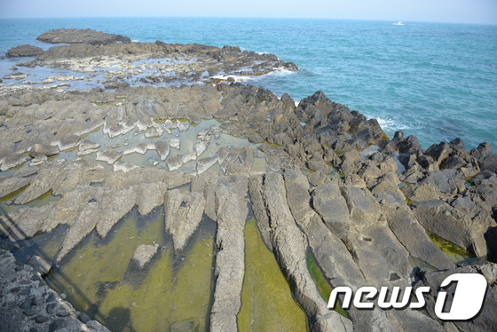 해파랑길 10코스 © News1
