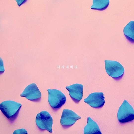 슈가볼 이미지