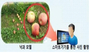 손해평가연구원 이미지