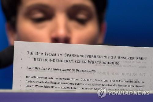 독일대안당 '反이슬람' 강령 채택으로 극우화 가속 - 연합뉴스