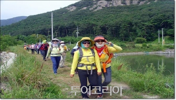 먹거리장터 이미지