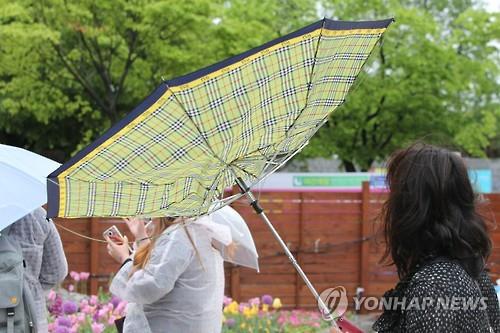 강풍 이미지