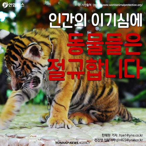 <카드뉴스> 인간의 이기심에 동물들은 절규합니다 - 연합뉴스