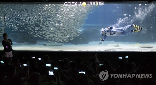 정어리 떼와 함께하는 수중오디션 - 연합뉴스