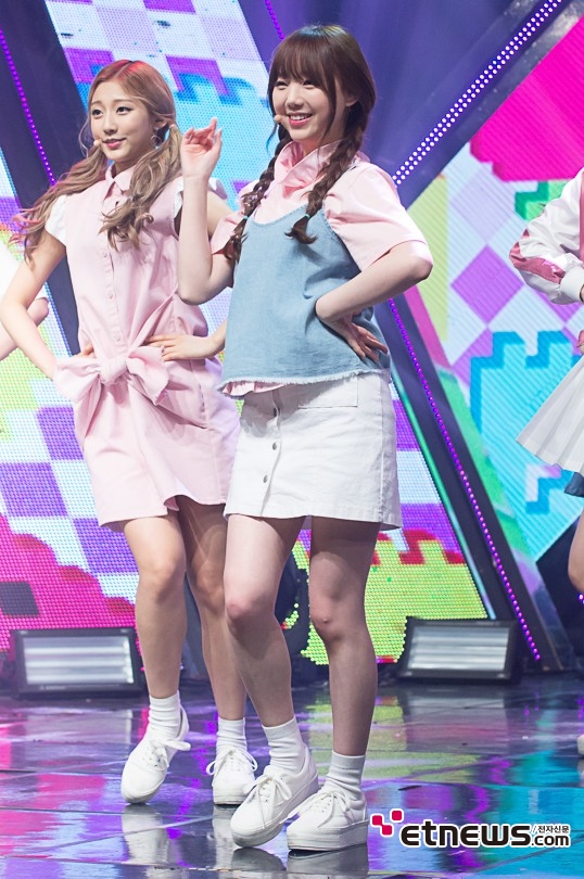 케이 이미지