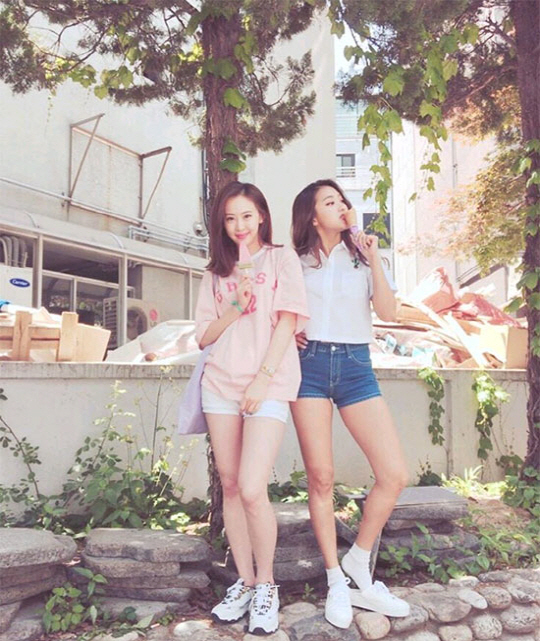 다솜 이미지