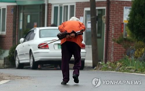 김*영 이미지
