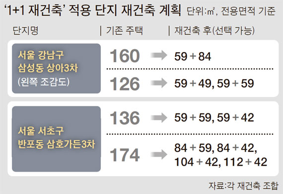 큰집 나눠 두 채로..매력 큰 '1+1 재건축' - 중앙일보