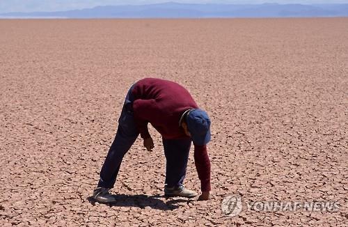 [연합뉴스 자료사진]