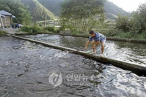 아리랑라이브7080 이미지