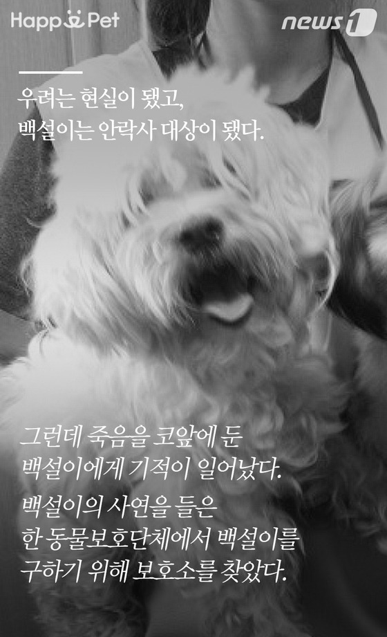 백설세탁소 이미지