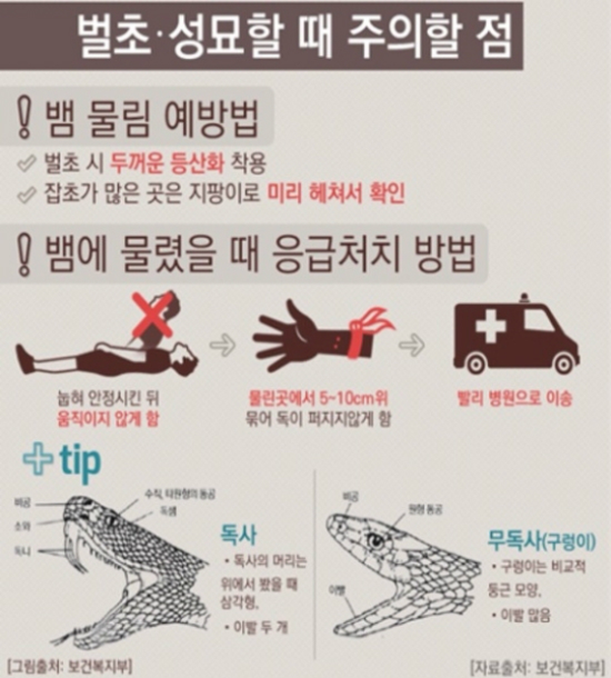 매년 6500명 독뱀·독충 물려 응급실행 - 노컷뉴스