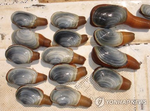 (주)웰빙을 만드는 사람들 이미지
