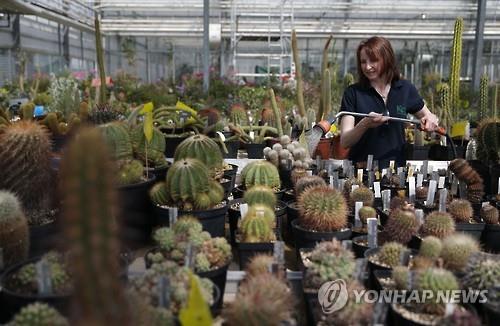 지구 식물 39만종의 20%가 멸종위기..대형 식충식물 등 신종도 - 연합뉴스