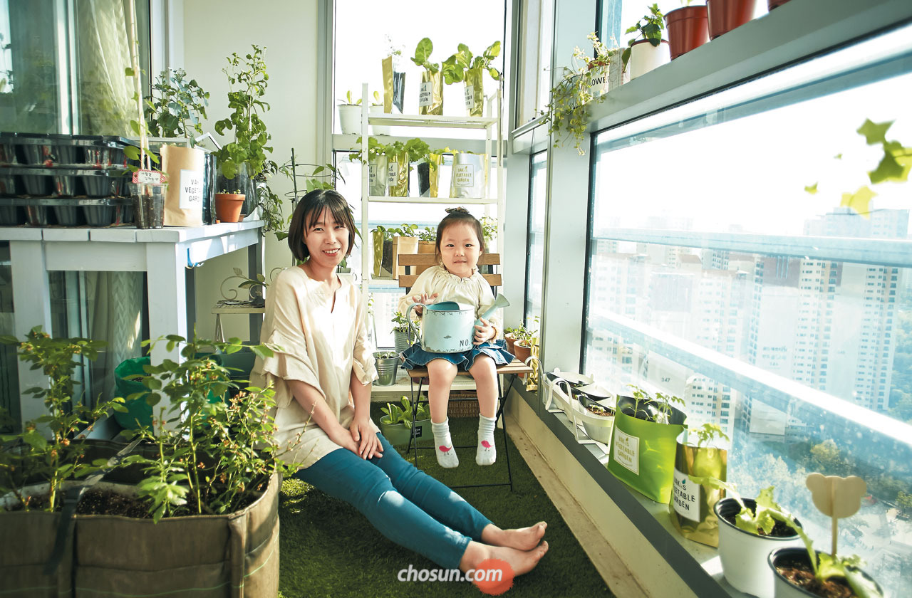 커피열매상자 이미지